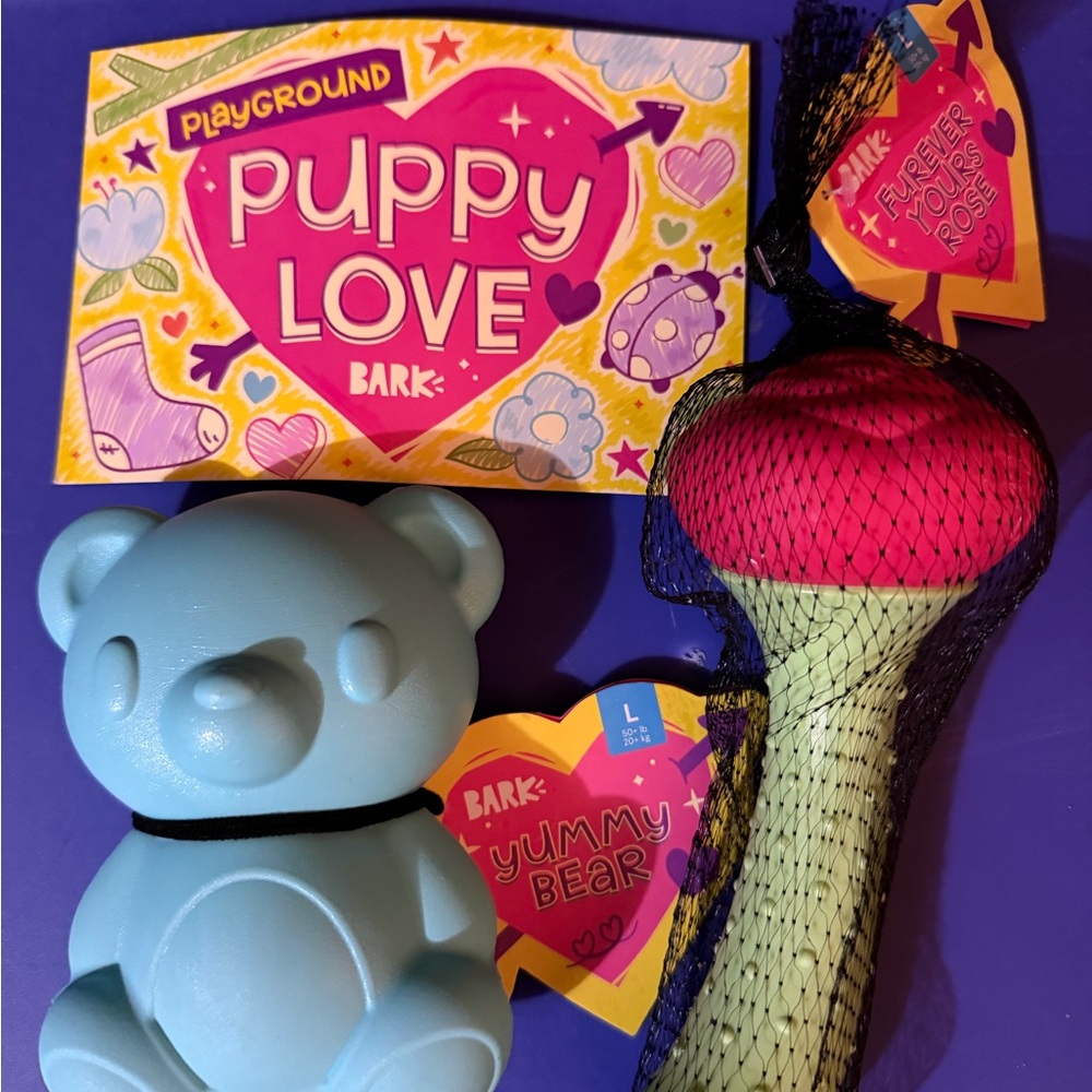 BARK BOX Puppy Love Toy Set